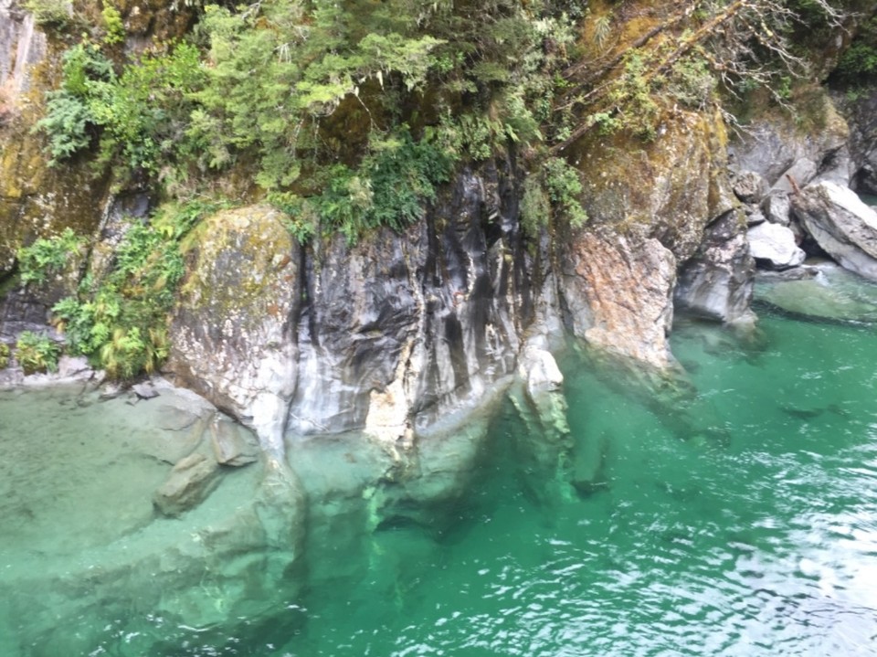 Neuseeland - Mt Aspiring National Park - 