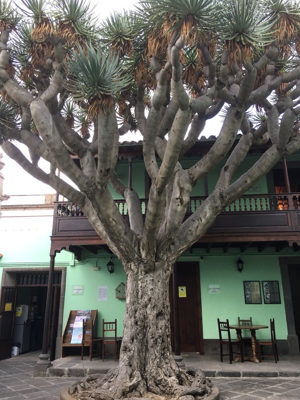 Spain - Arucas - 