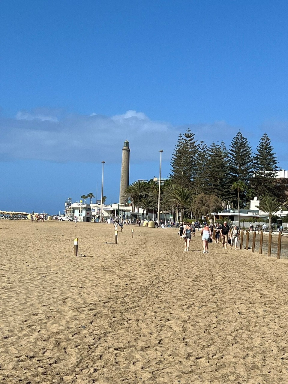 Spanien - Las Palmas de Gran Canaria - In den Dünen von Maspalomas