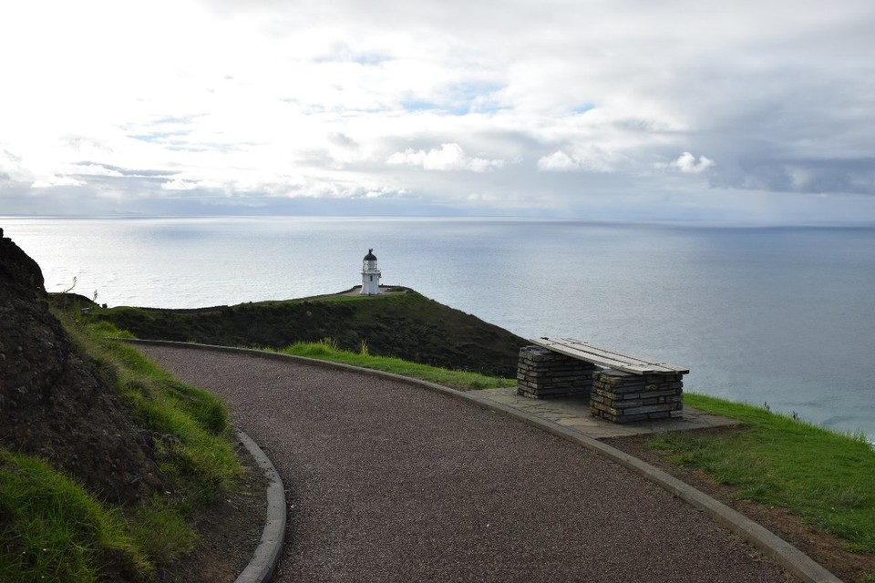 Neuseeland - Cape Reinga - 