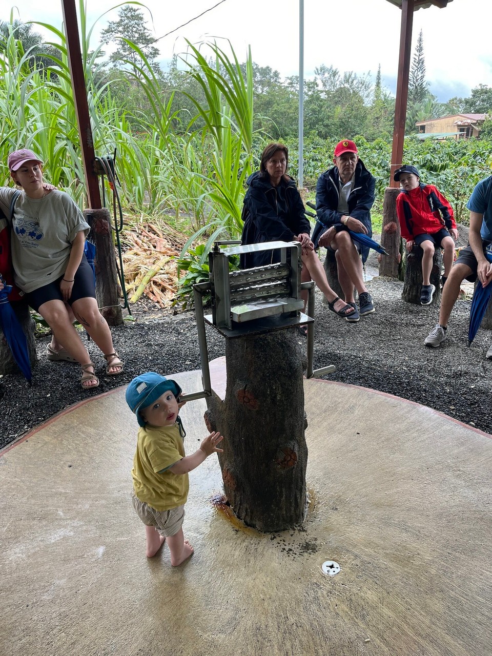 Costa Rica - La Fortuna - Birger walzt das Zuckerrohr aus.