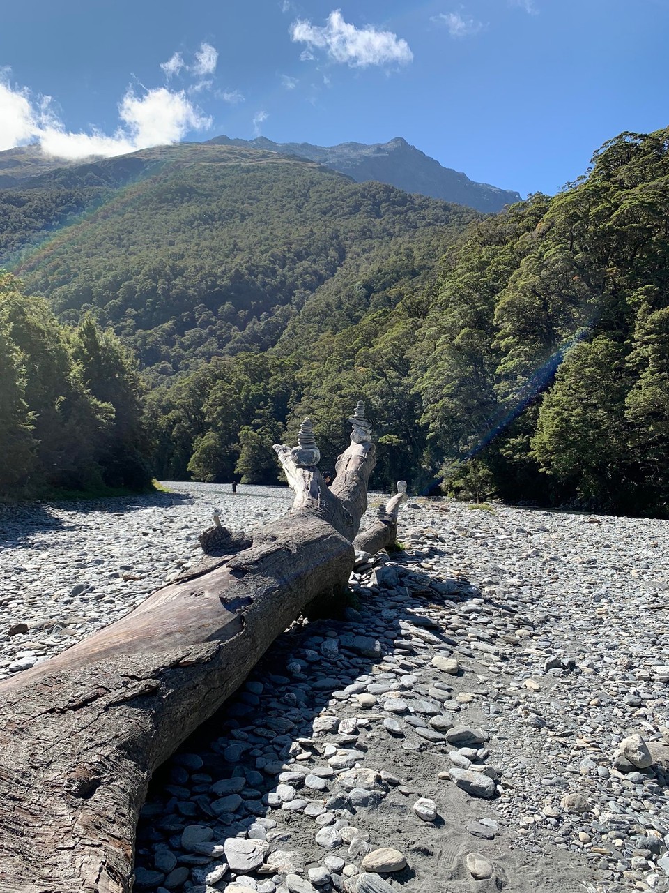 Neuseeland - Haast - 