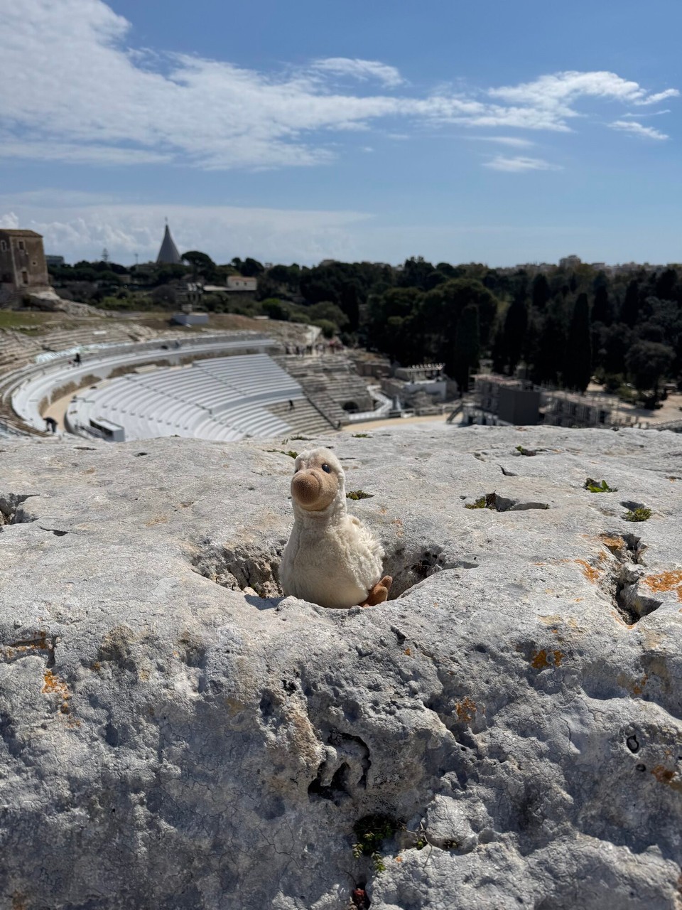 Italien - Syrakus - Doretta brütet was aus.