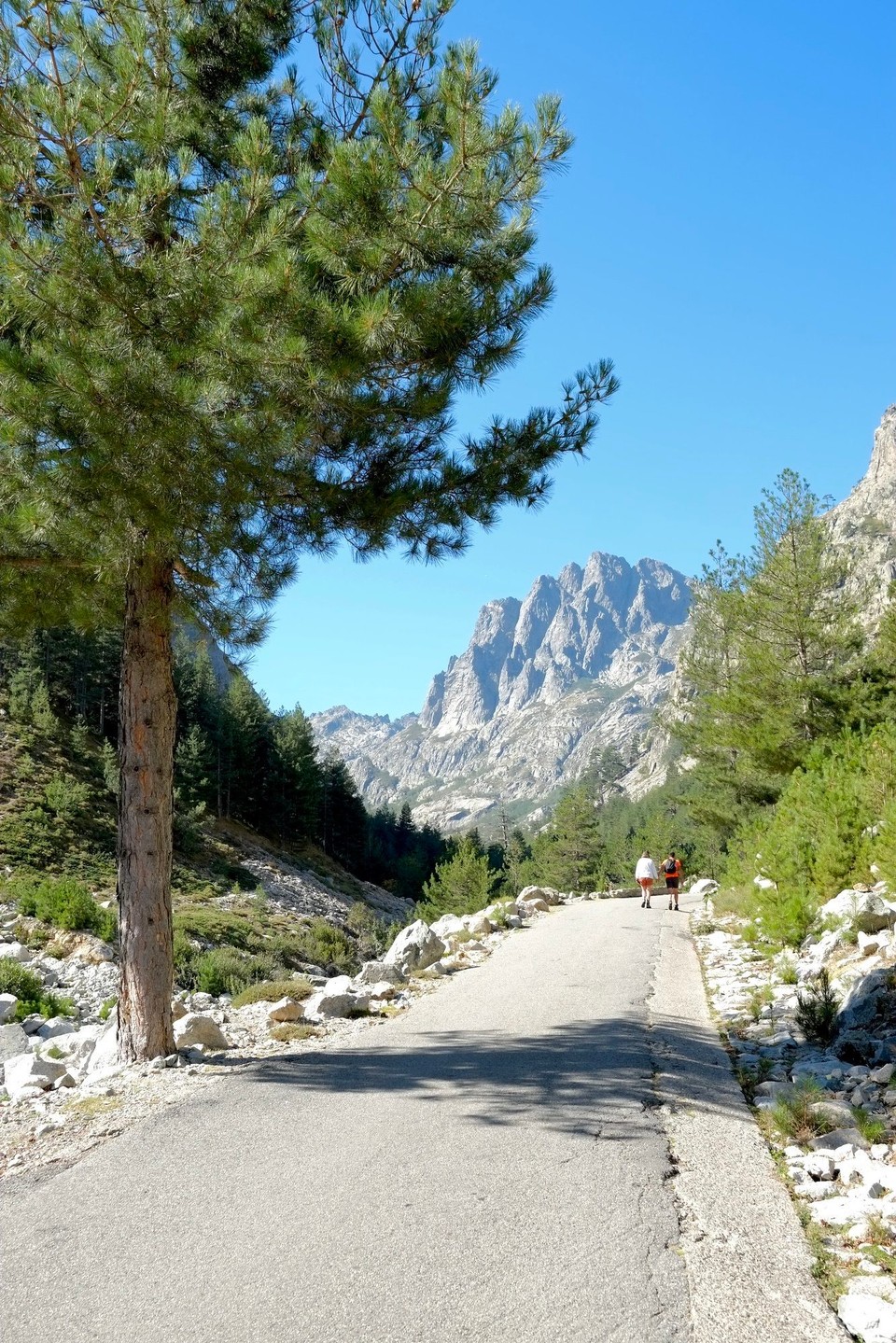 Frankreich - Corte - 