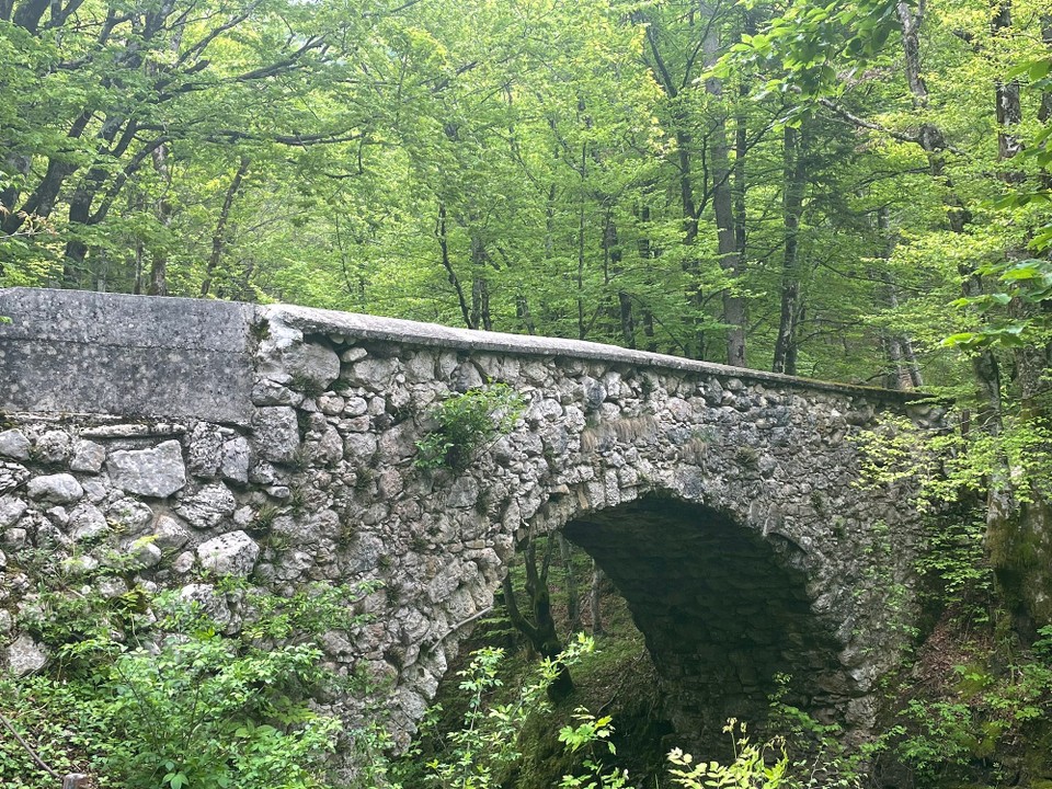 Slowenien - Bohinjsko Jezero - Teufelsbrücke 