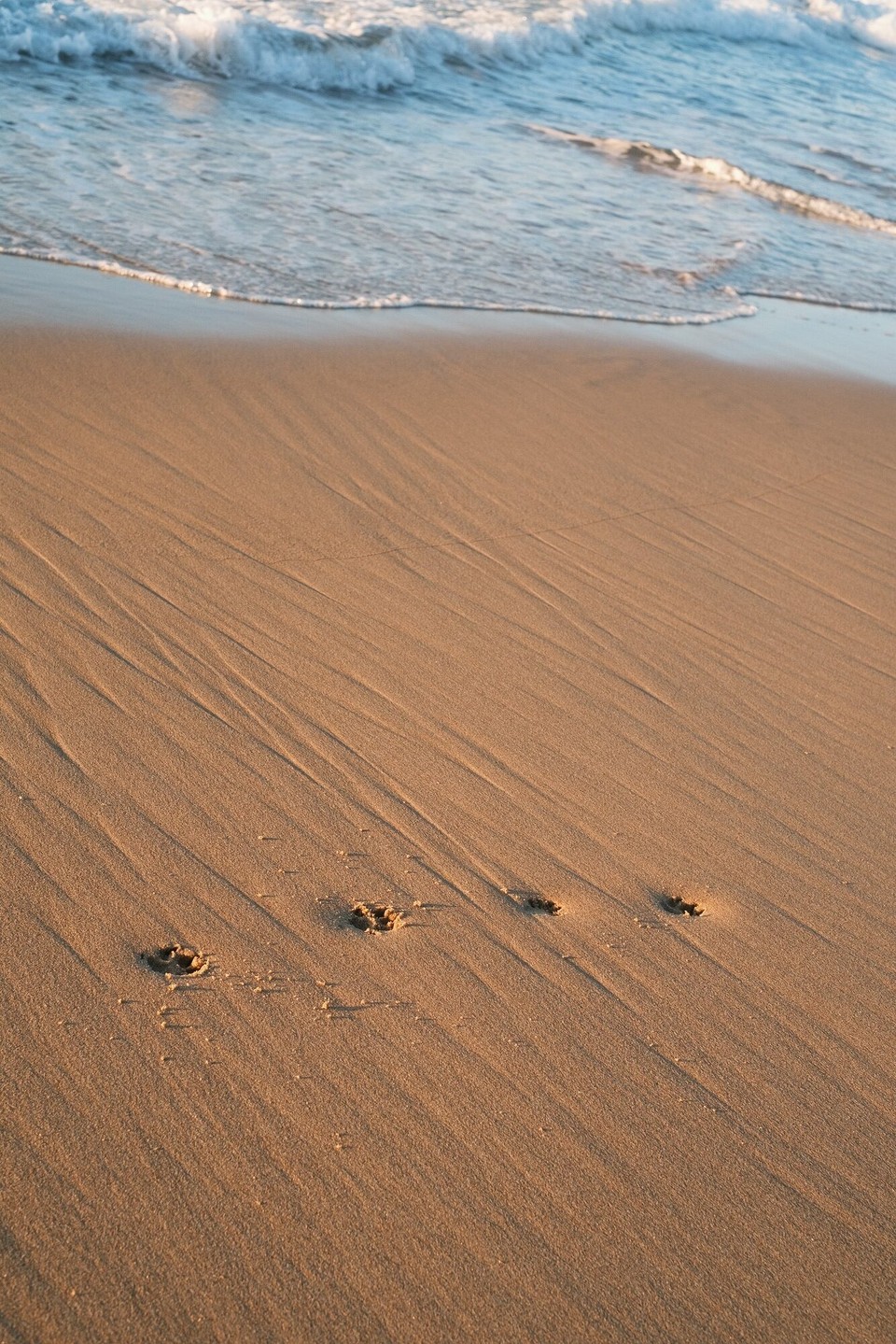 Portugal - Aljezur - 