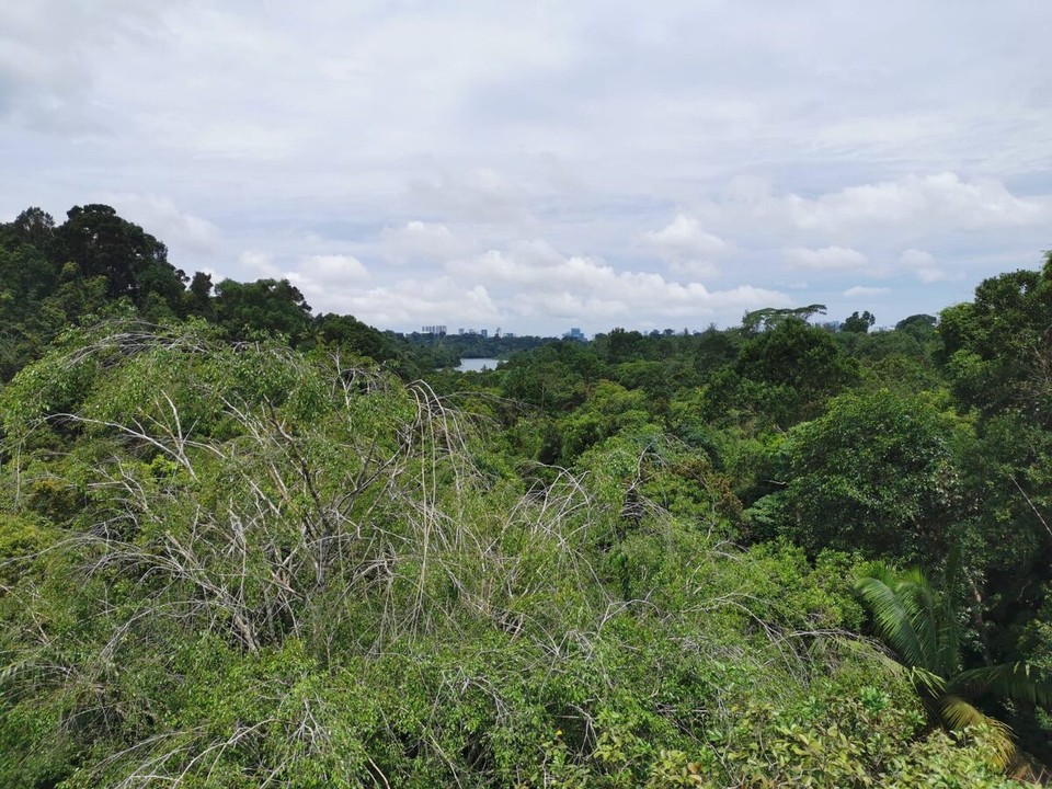 Singapur - Singapur - 