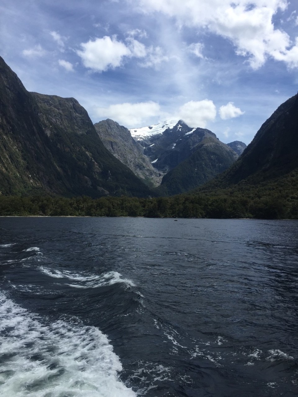 Neuseeland - Milford Sound - 