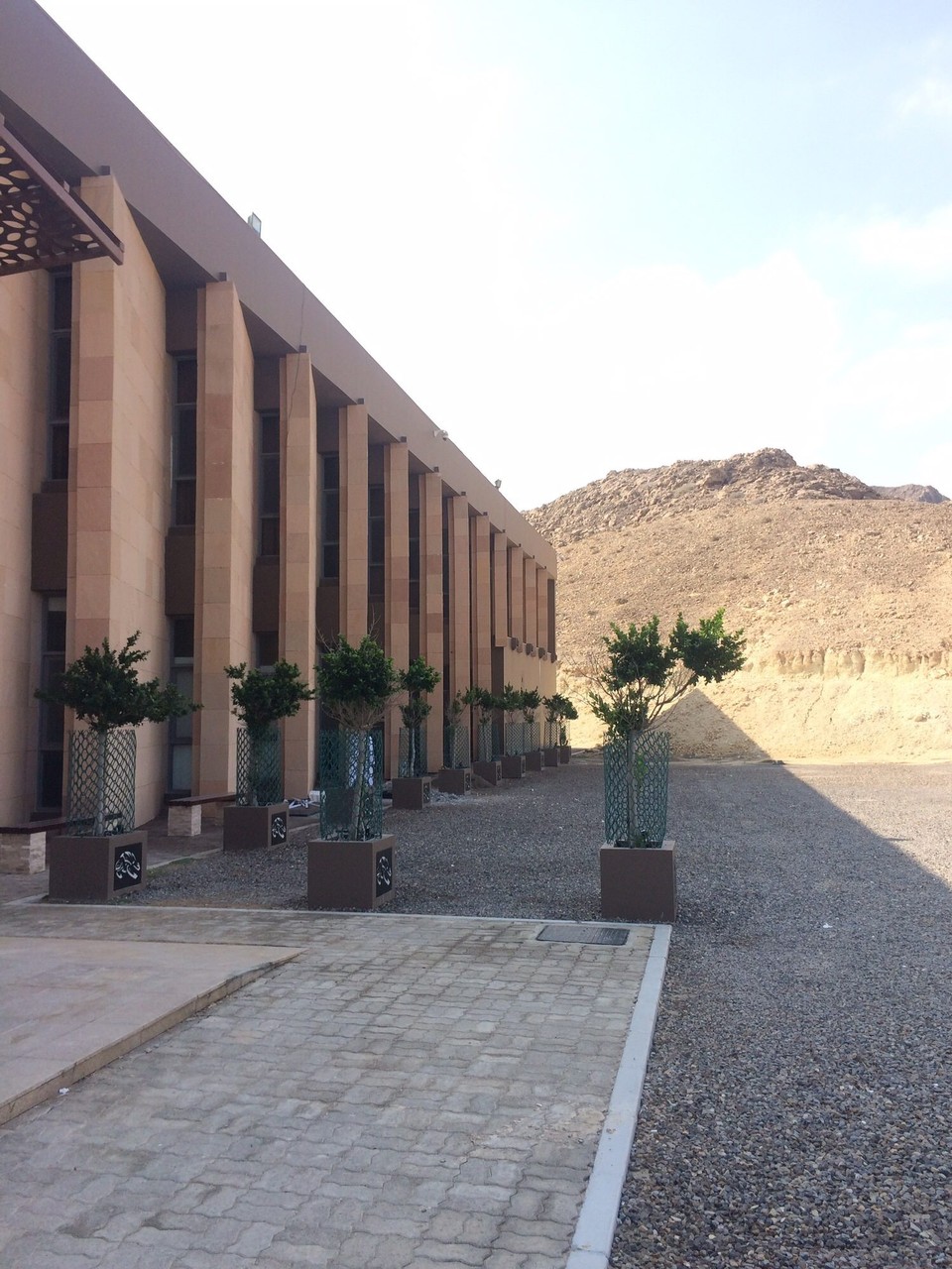 Oman -  - Zum Schutz des breitesten Abschnitts wurde ein Besucherzentrum gebaut. Die Schildkröten kommen nur nachts, und wir sehen auch welche. Aber fotografieren verboten.