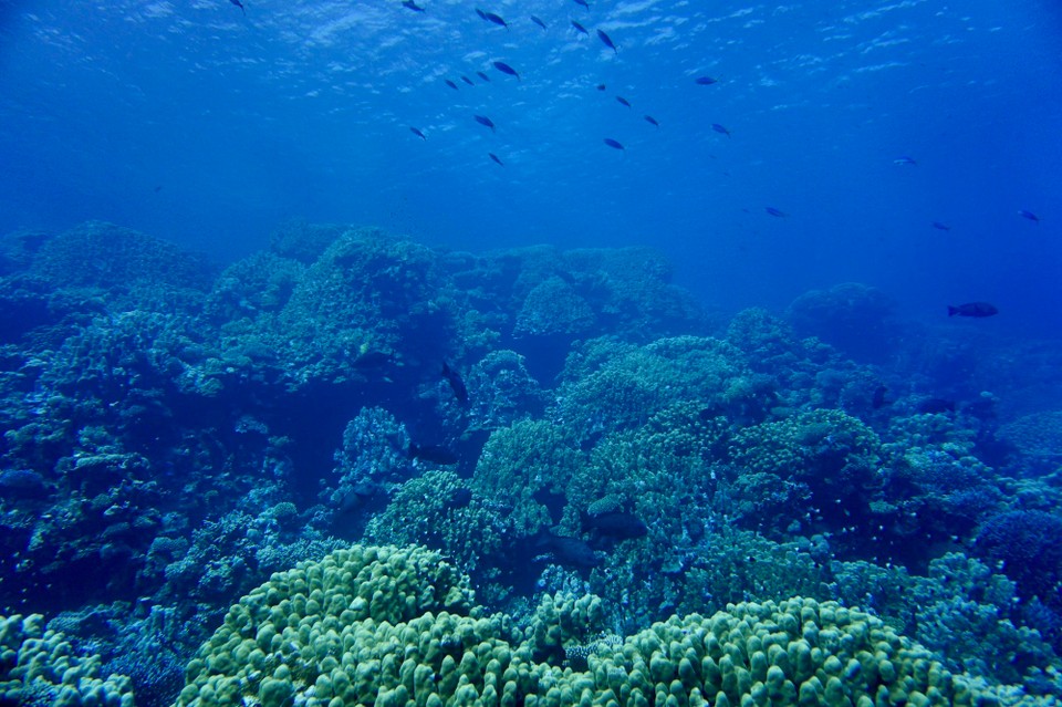 Ägypten - Marsa Alam - 