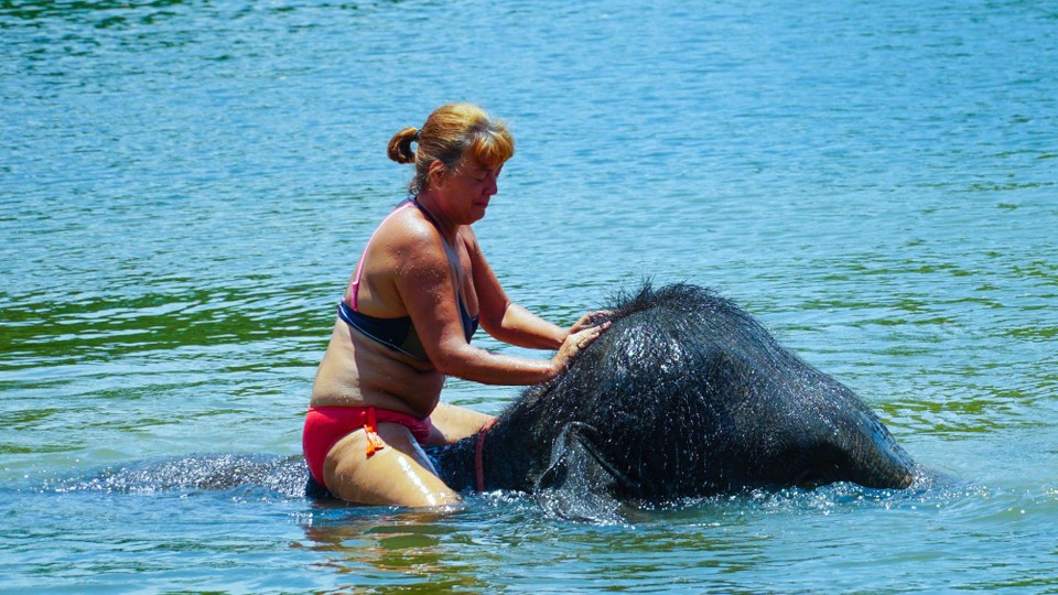 Thailand - Khao Lak - und untertauchen