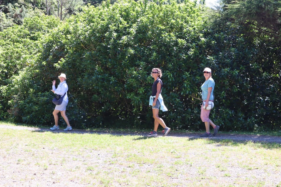 Neuseeland - Picton - 