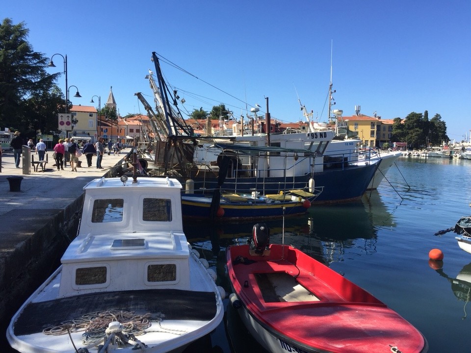 Kroatien - Novigrad - Novigrad