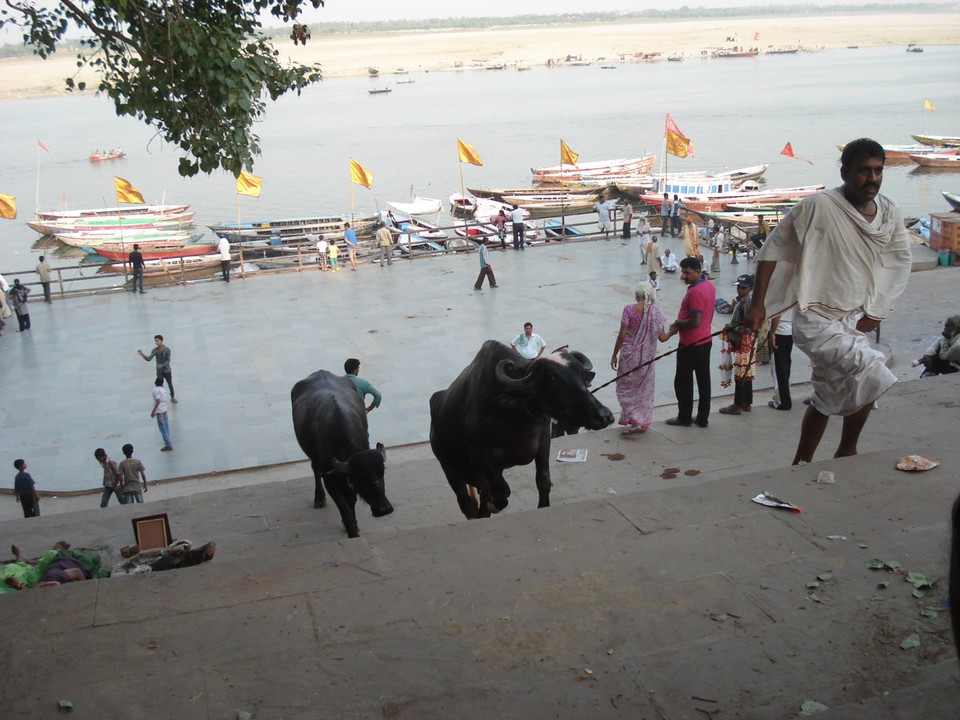 India - Varanasi - 