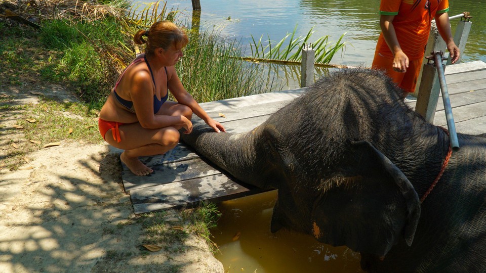 Thailand - Khao Lak - Sooo süß 🤗