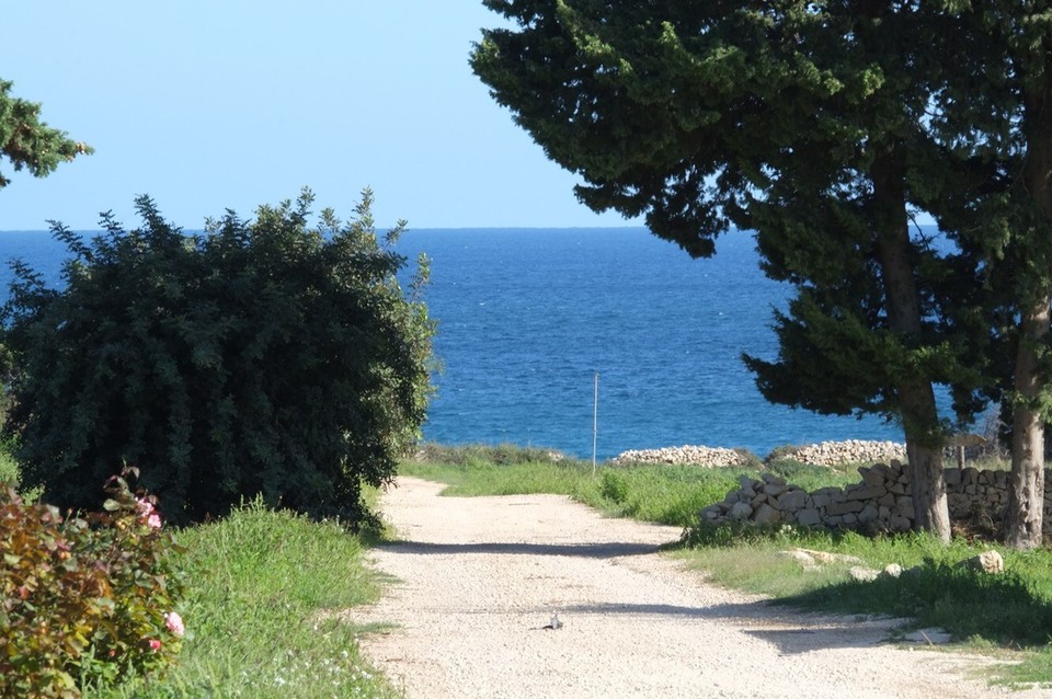  - Italien, Avola - Der Weg von unserem Häuschen zum Meer.