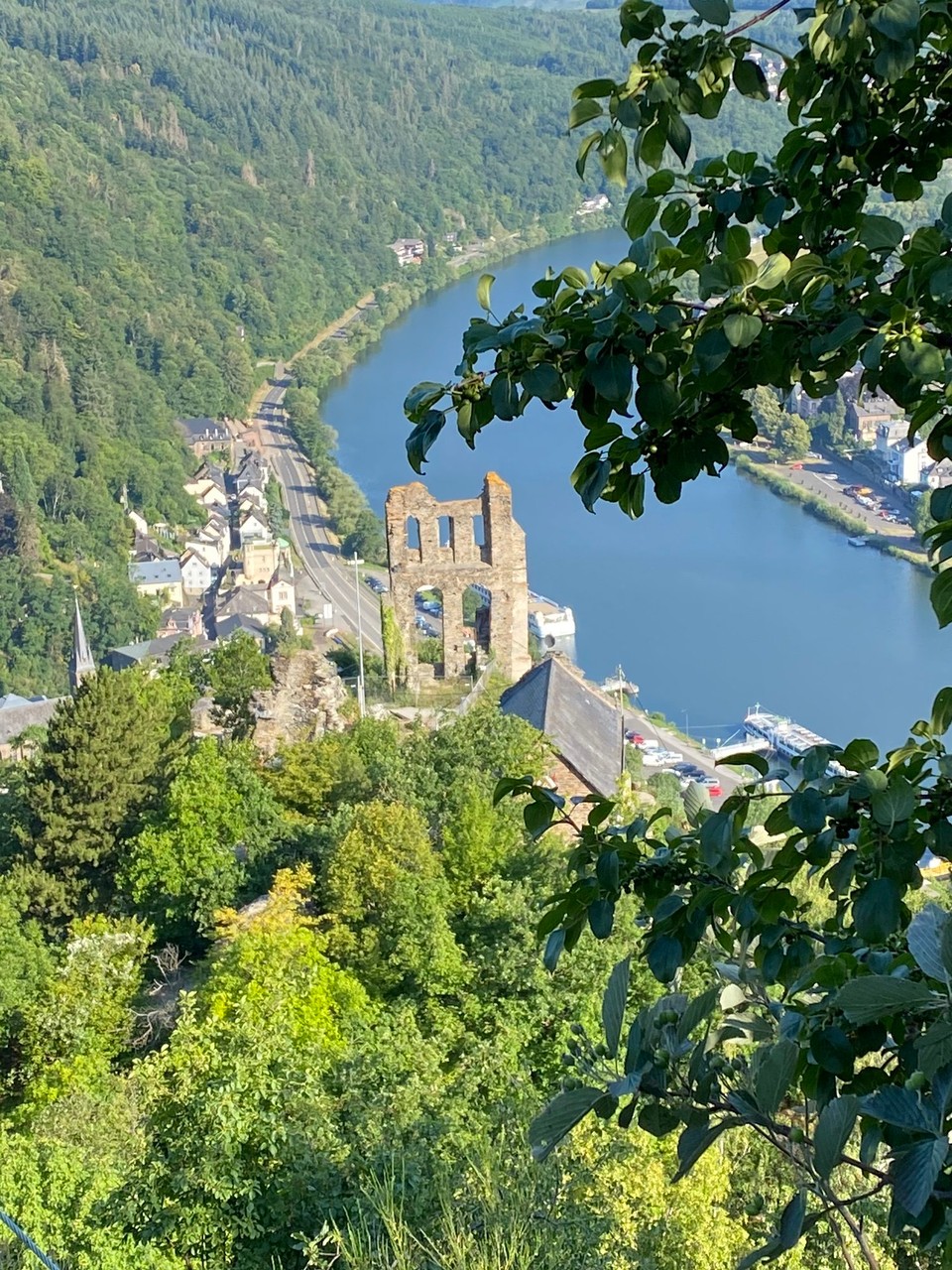 Deutschland - Reil - Blick zurück
