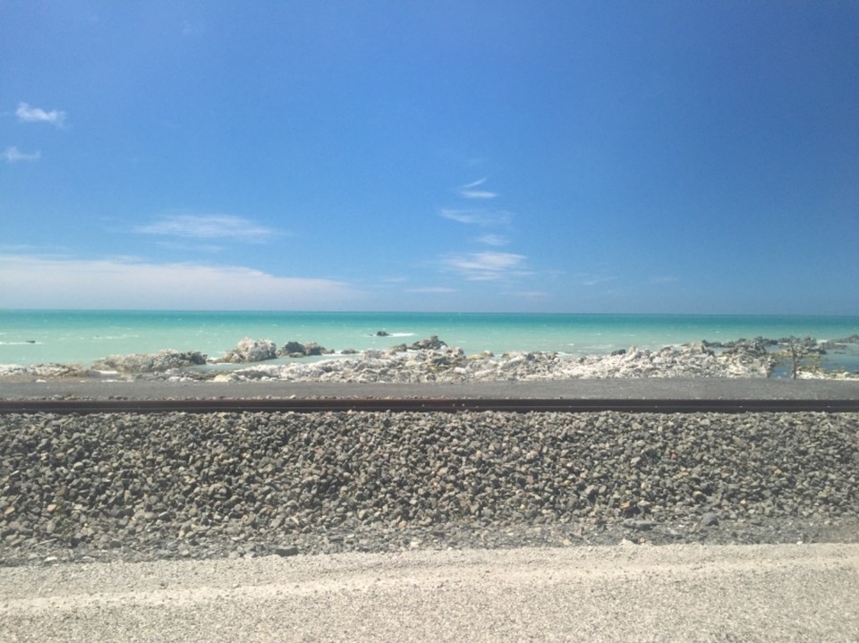 Neuseeland - Kaikoura - 