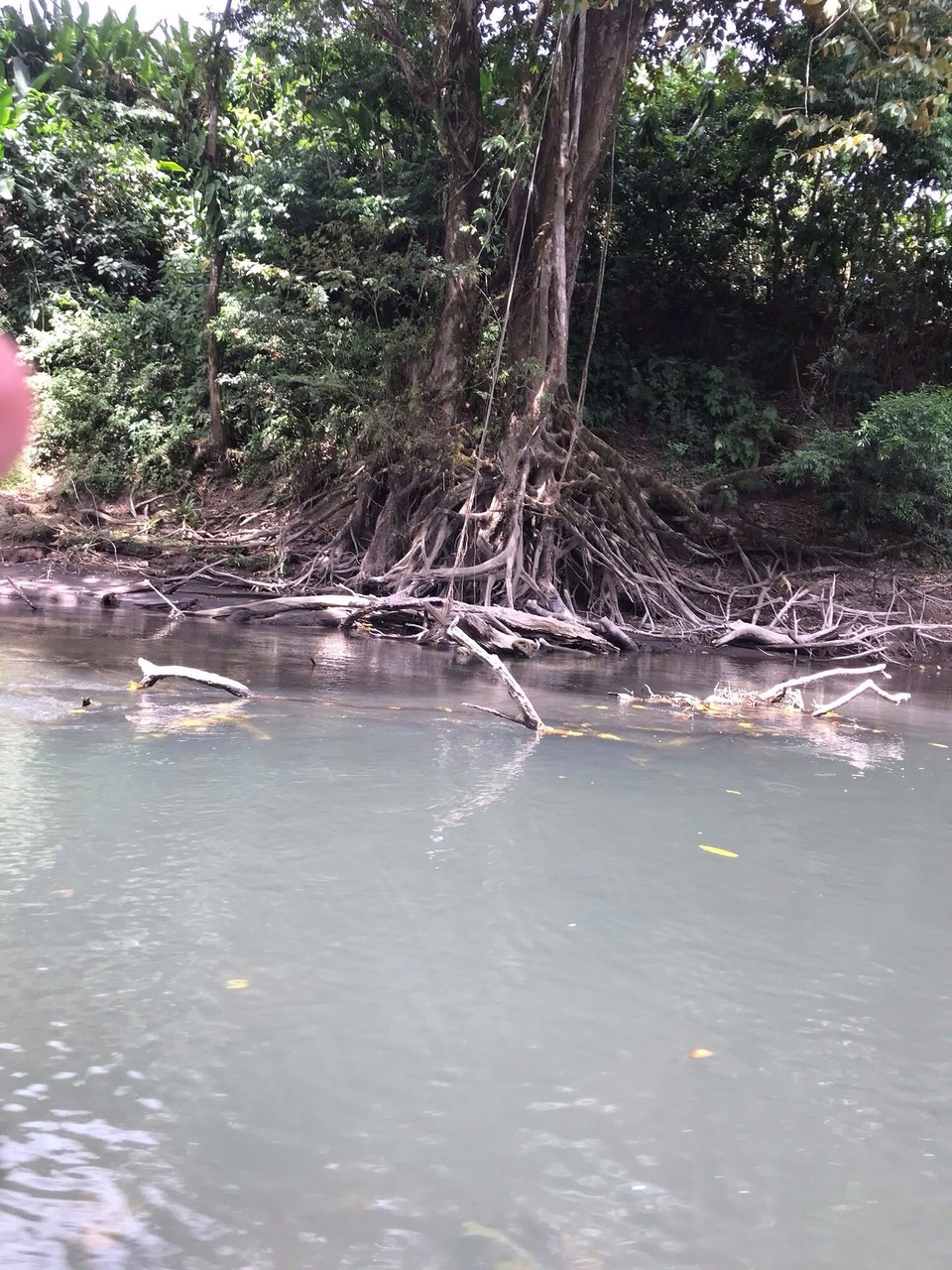 Costa Rica - Paraiso - 