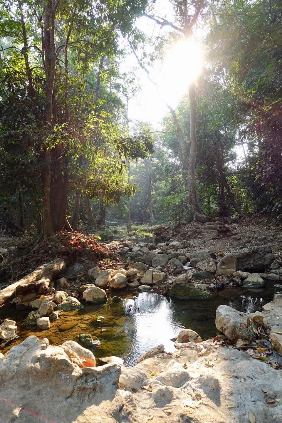 Thailand - Bueng Sam Phan - 