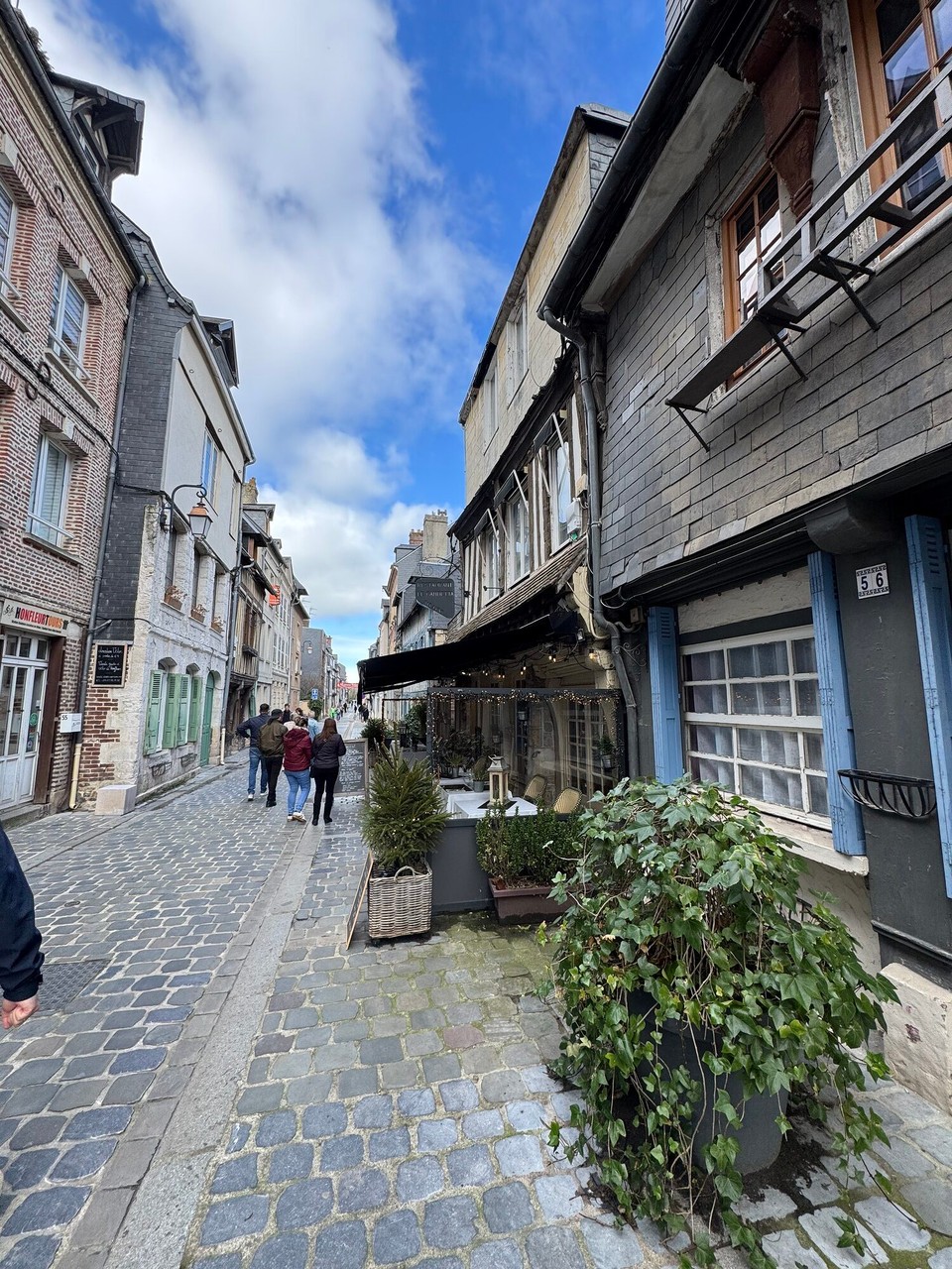 Frankreich - Honfleur - 