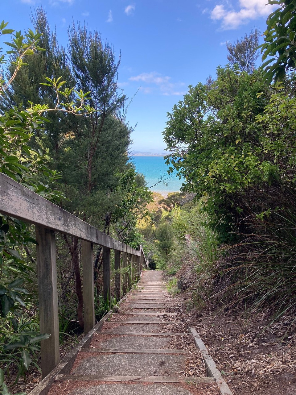 Neuseeland - Karikari Peninsula - Zum „hauseigenen“ Strand 🤪