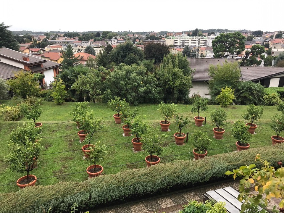 Italien - Cantù - 