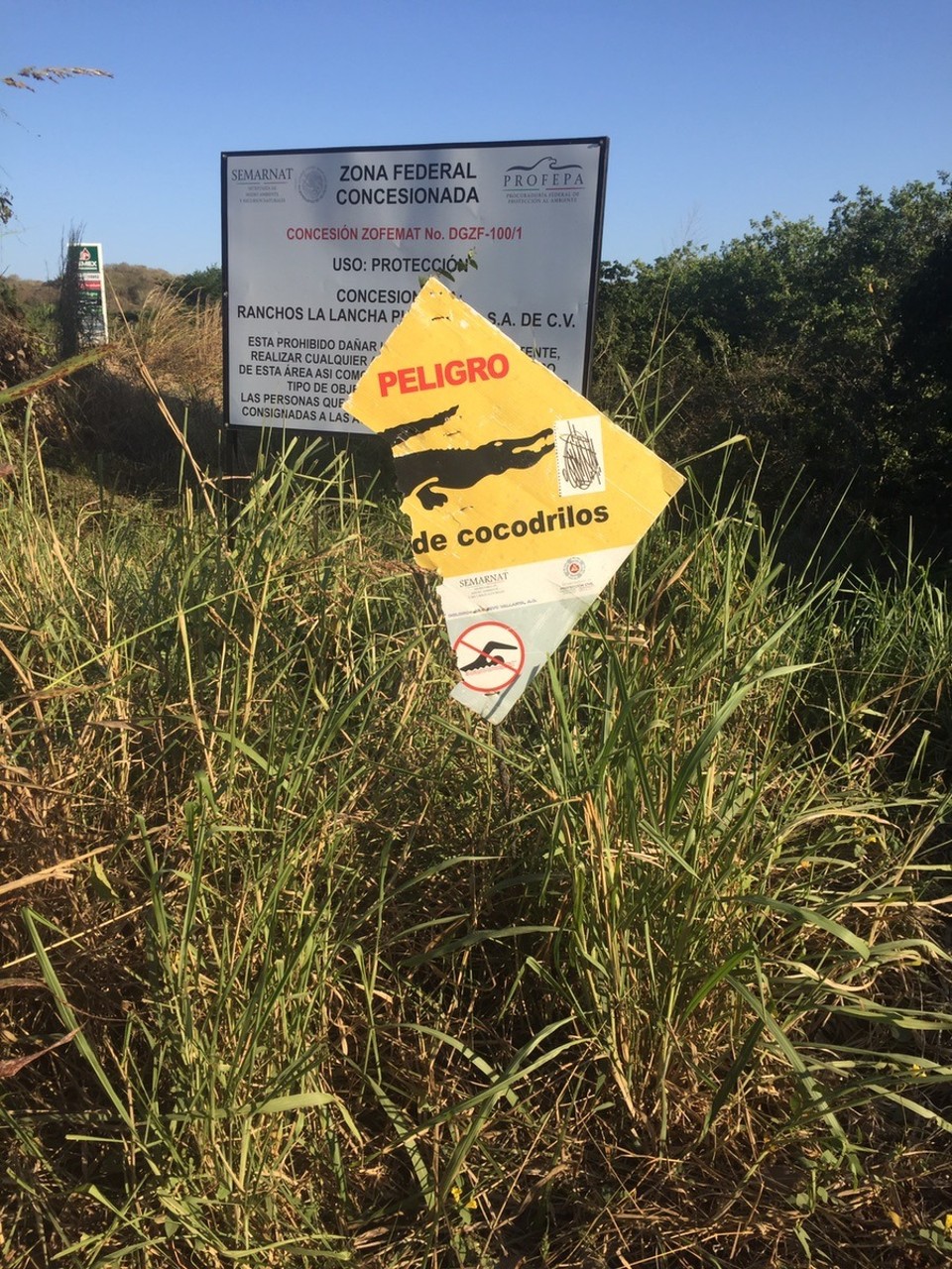 Mexiko - Punta Mita - Der Pfad durch den Wald begann kurz hinter diesem angeknabberten Schild... 😬