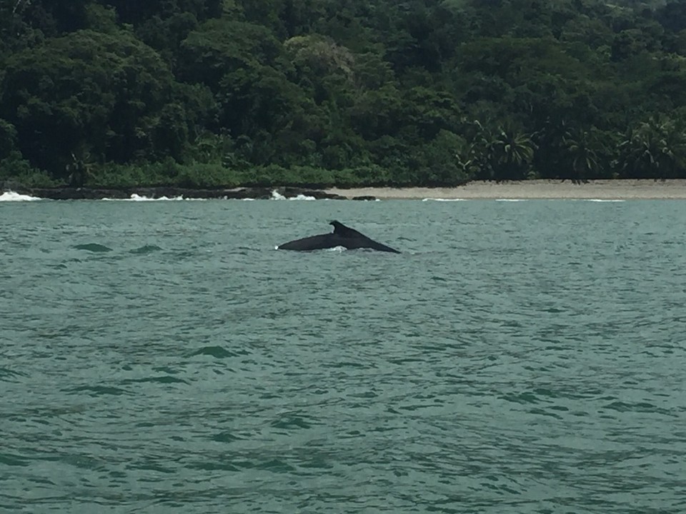 Costa Rica - Aguirre - 