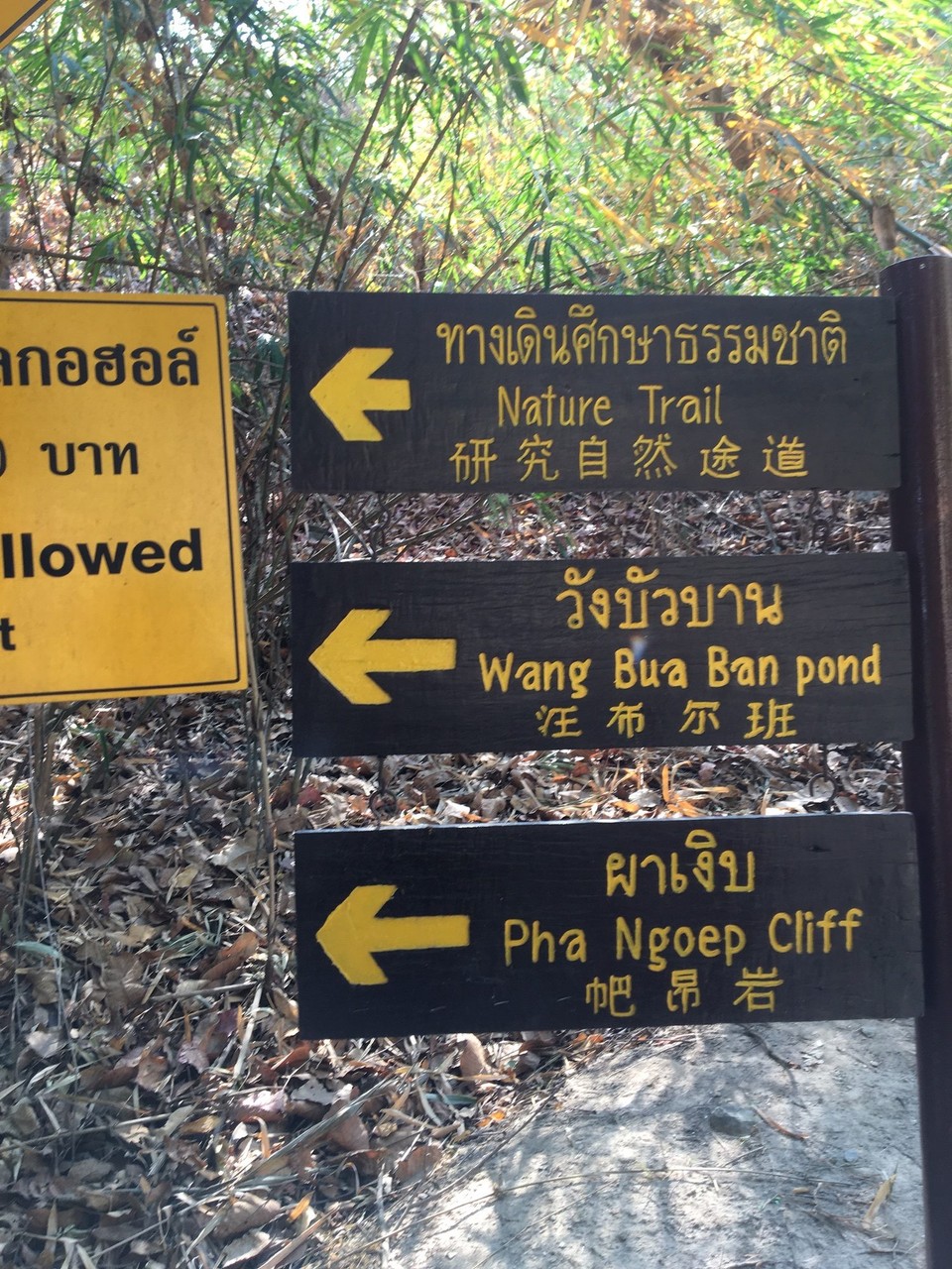 Thailand - Chiang Mai - 