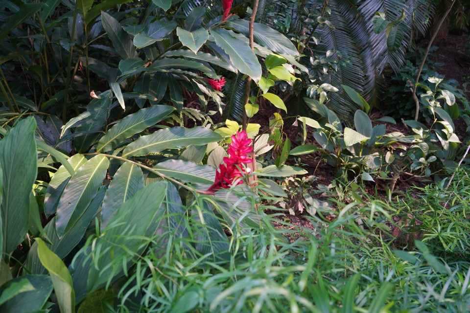 Madagaskar - unbekannt - 