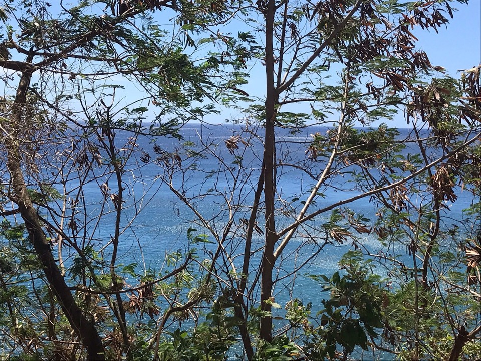 Dominica -  - 