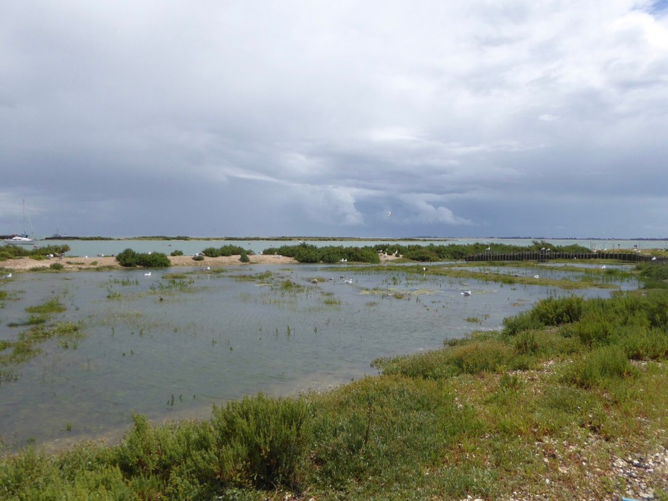 United Kingdom - Colchester - The remains of the seawater filtration tanks; oysters are bottom feeders, so were put in clean, tidal water for 24 hours to filter out bacteria and pollution.