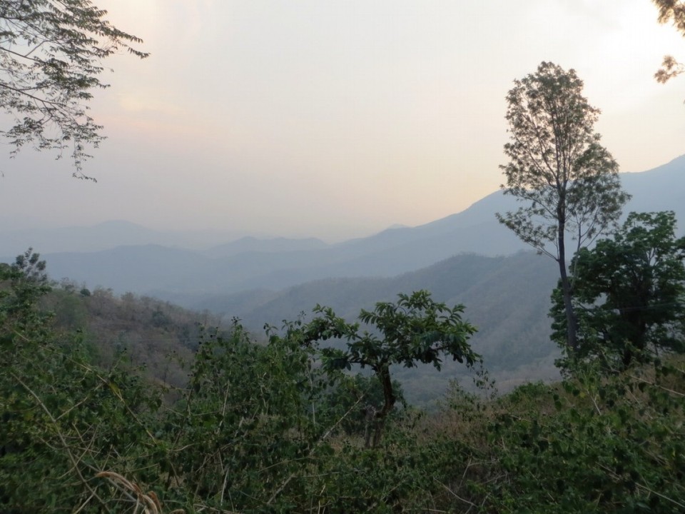 Indien - Coonoor - 