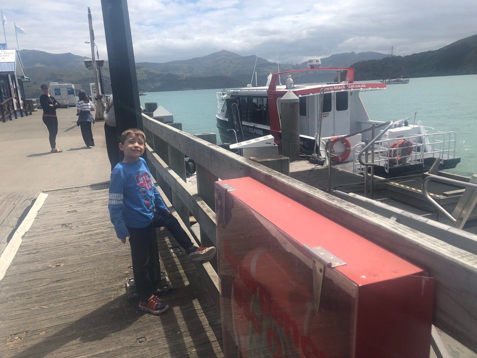 Neuseeland - Akaroa - Das ist das Schiff von Black Cat, welches mit uns hinausfahren wird.