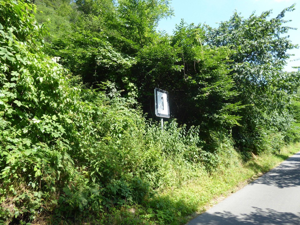 Tschechien - Ústí nad Labem - Linkselbisch geht es noch ein bisschen weiter. Vorsichtshalber habe ich Kilometer 1
fotografiert, weil ich nicht wusste, ob der Nuller zu sehen ist.