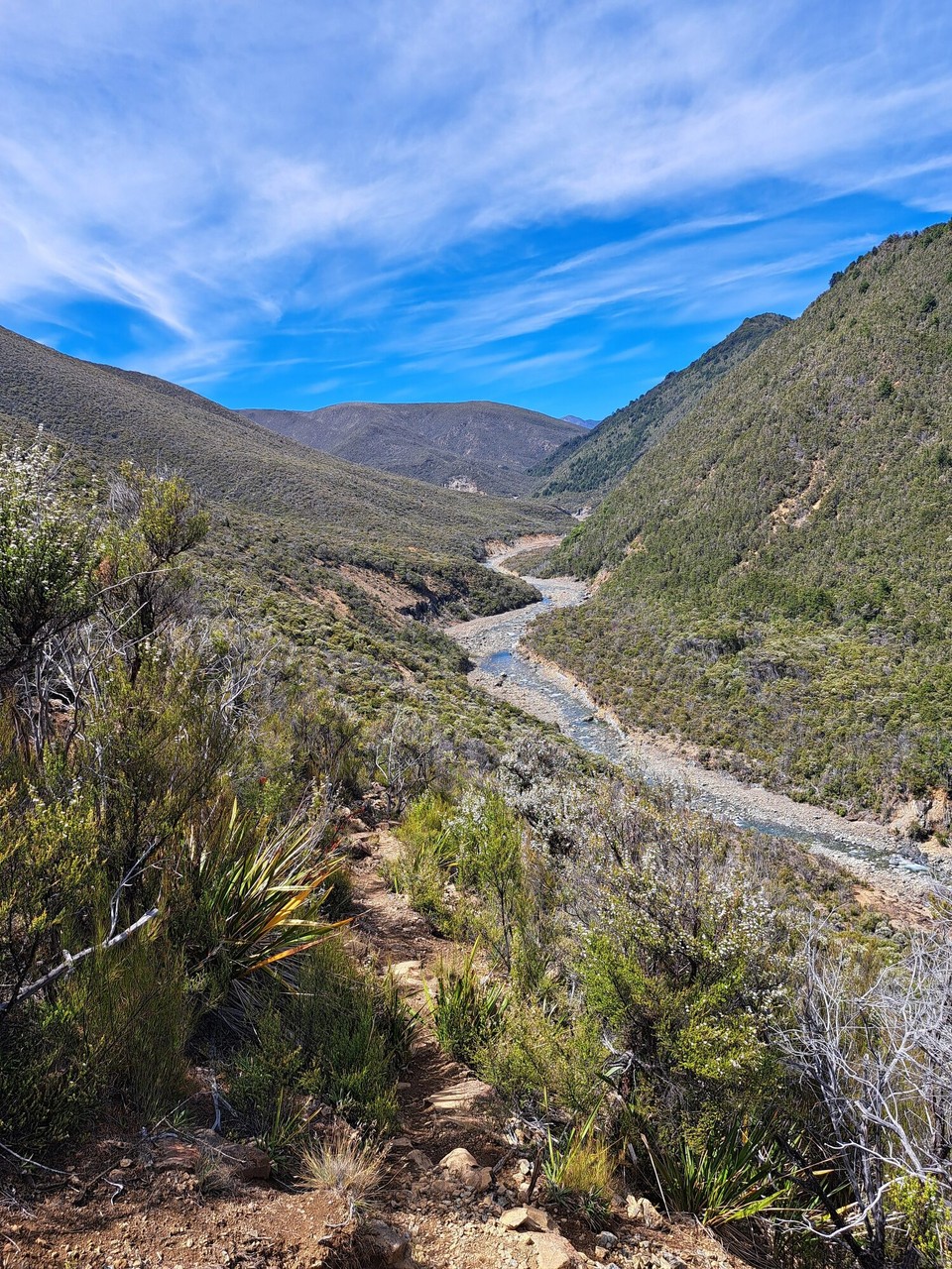 Neuseeland - Saint Arnaud - 