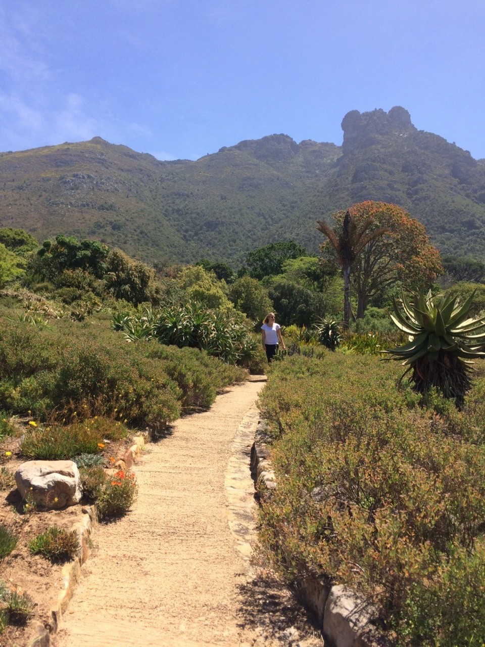  - Südafrika, Kirstenbosch - 