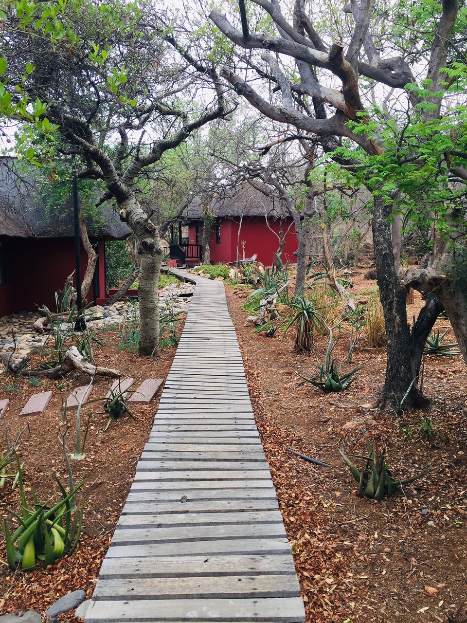 Südafrika -  - 