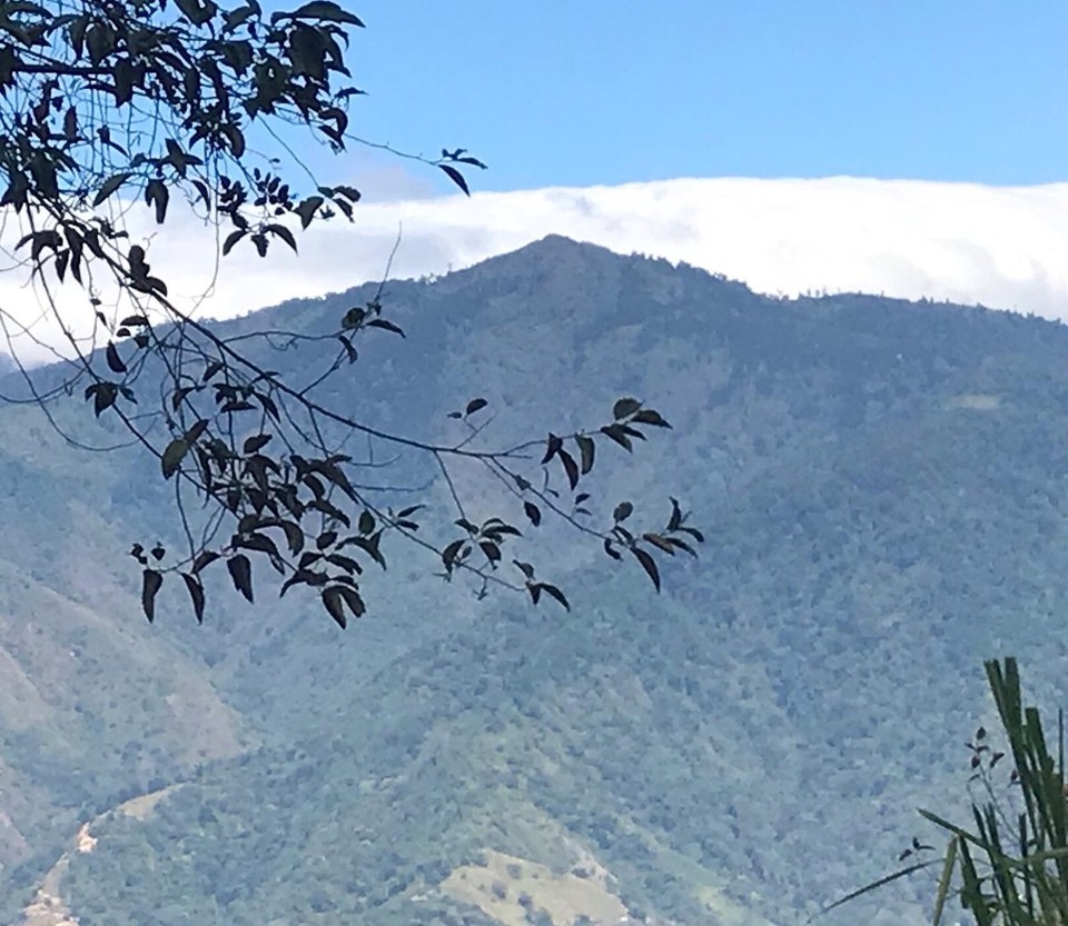 Costa Rica - Perez Zeledon - 