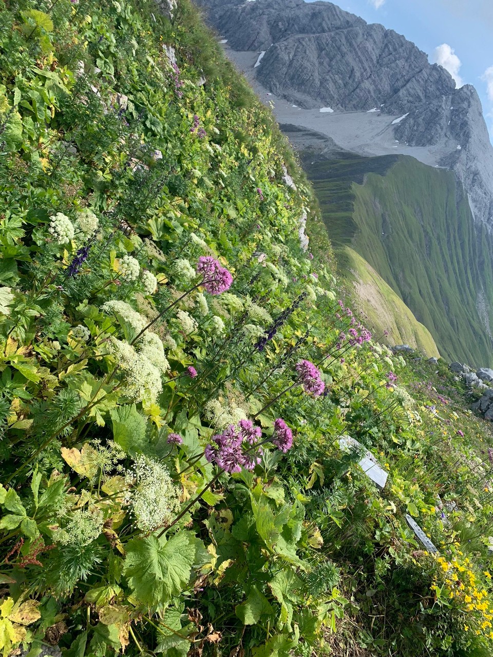 Österreich - Lech - 