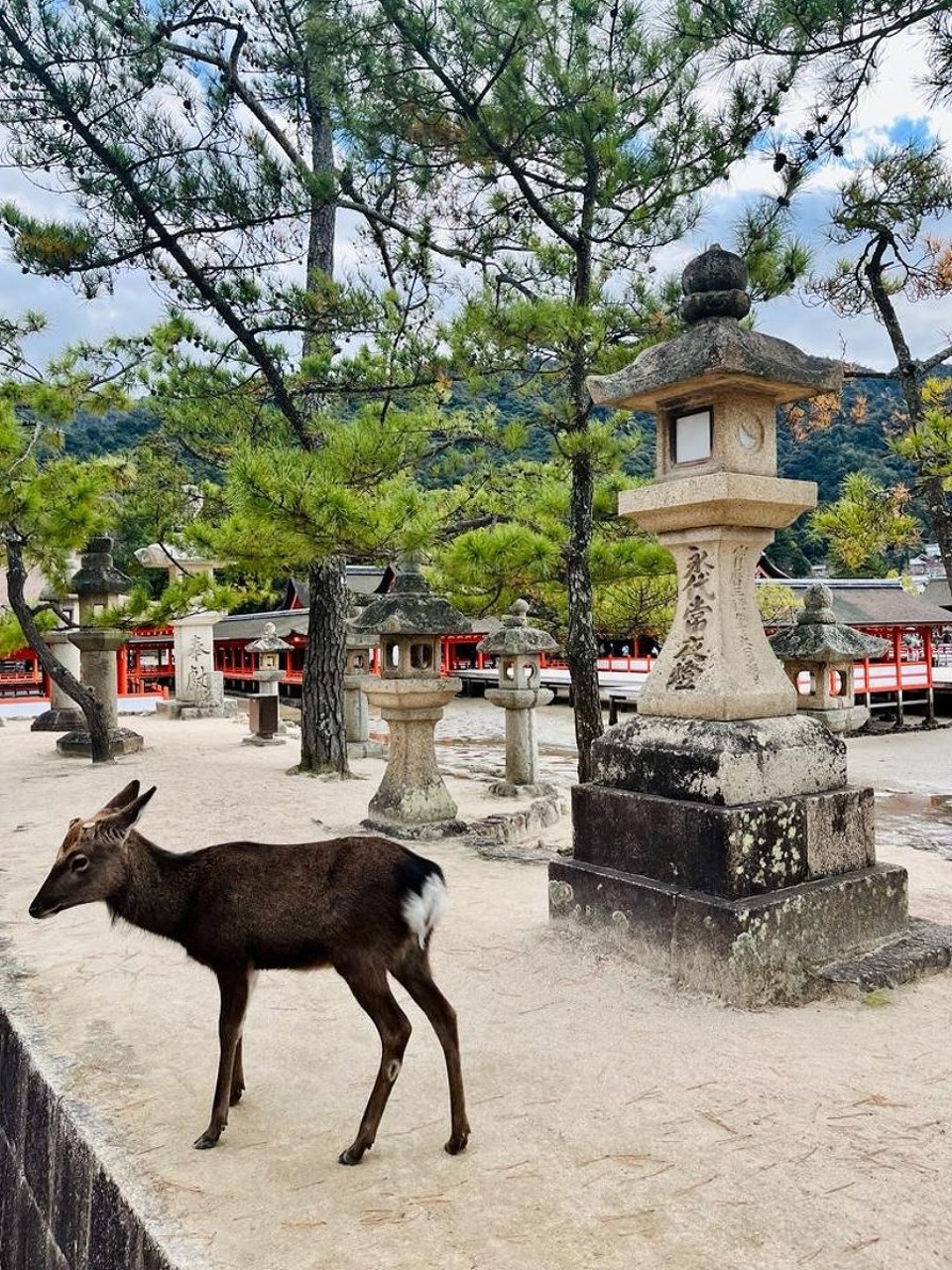 Japan - Naka, Hiroshima - 