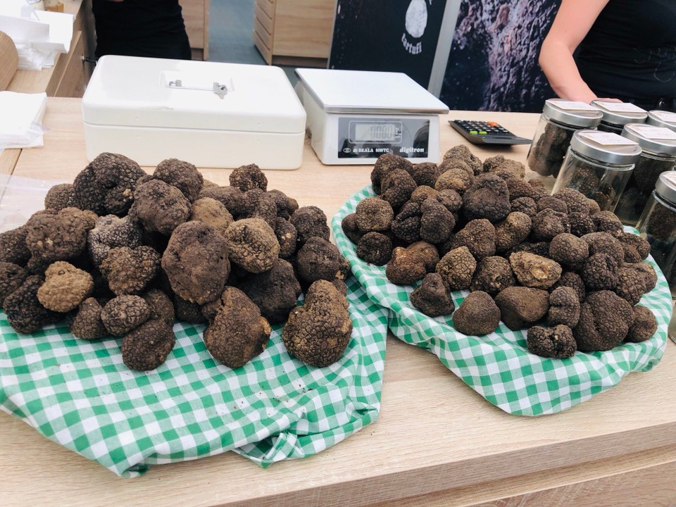 Kroatien - Livade - Schwarze Trüffel