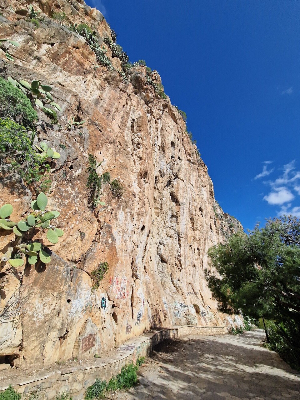 Griechenland - Agios Andreas - 