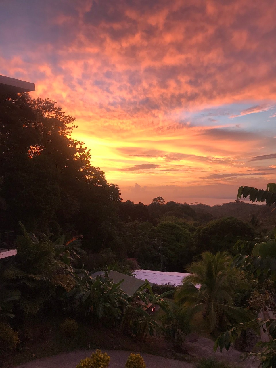 Costa Rica - Quepos - 