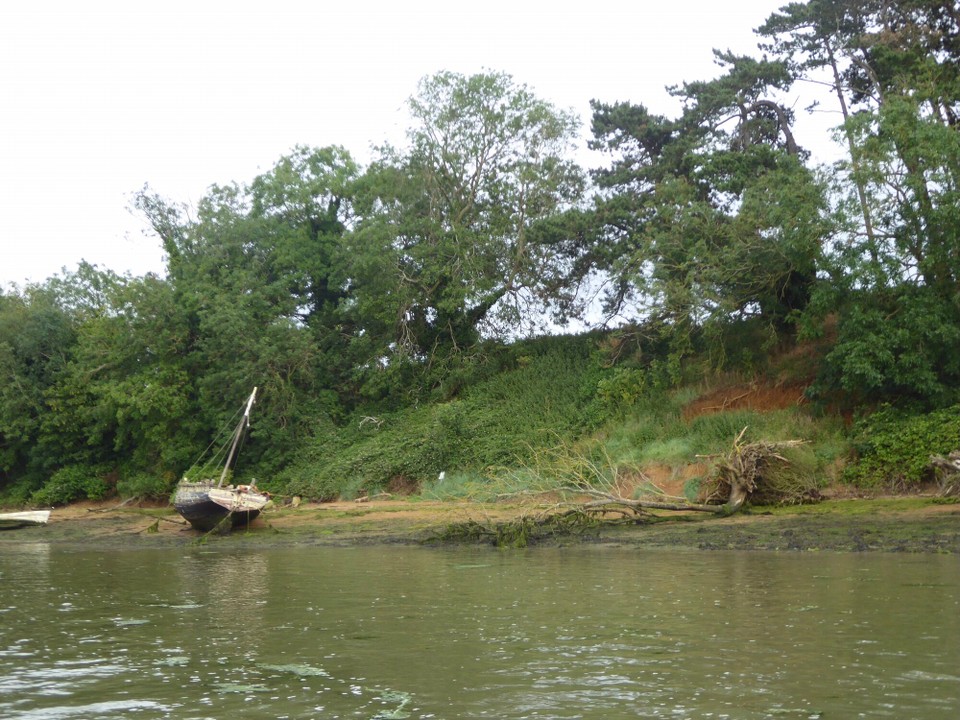 United Kingdom - Woodbridge - We anchored at our favourite spot on the Deben; the Rocks, or Ramsholt Cliffs.