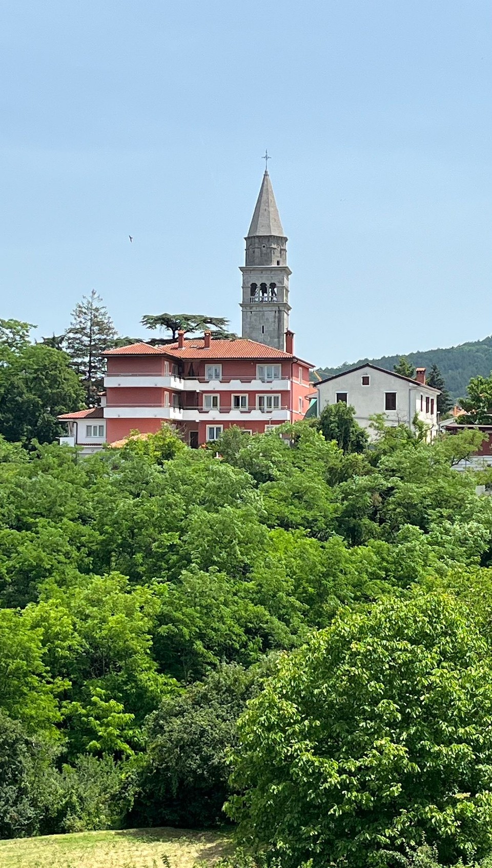 Kroatien - Pazin - Patin