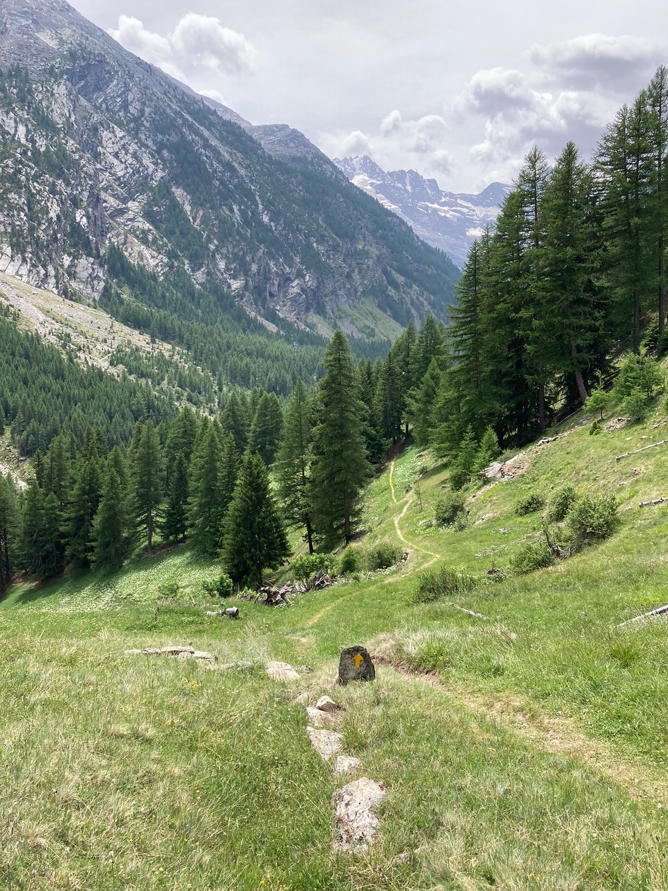 Italien - Cogne - Weg nach Cogne