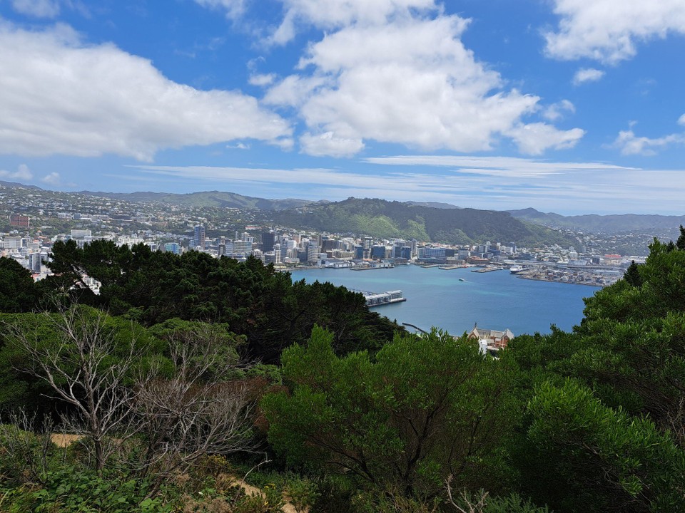 Neuseeland - Princess Beach - 