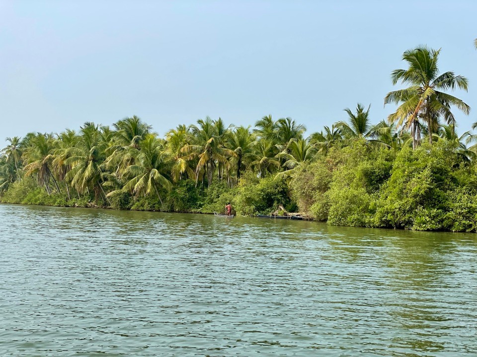 Indien - South Thrikkaripur - 
